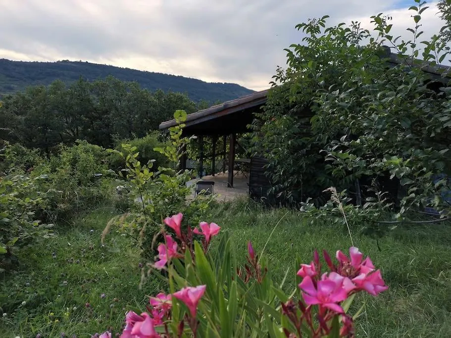 Chalet 4 A 5 Personnes - Jaune Darbres