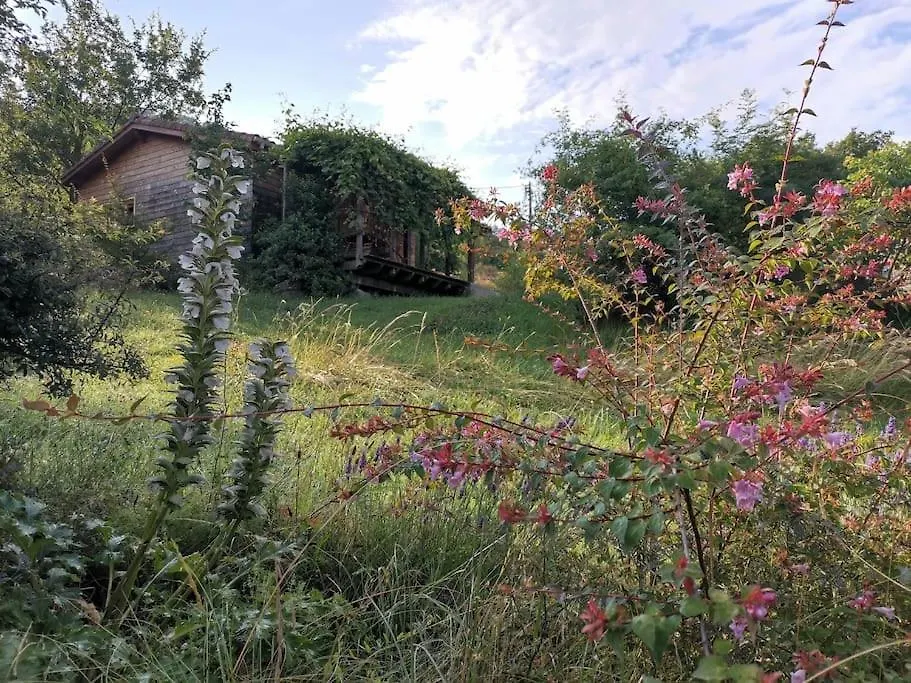 Chalet 4 A 5 Personnes - Jaune Darbres Holiday home